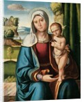 The Madonna and Child by Benvenuto Tisi da Garofalo