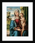 The Madonna and Child by Benvenuto Tisi da Garofalo