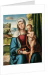 The Madonna and Child by Benvenuto Tisi da Garofalo