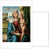The Madonna and Child by Benvenuto Tisi da Garofalo