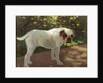 A Bulldog on a Garden Path by Arthur Heyer