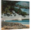 Nassau: Water and Sailboat, 1899 by Winslow Homer