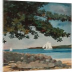 Nassau: Water and Sailboat, 1899 by Winslow Homer