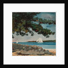 Nassau: Water and Sailboat, 1899 by Winslow Homer