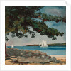 Nassau: Water and Sailboat, 1899 by Winslow Homer