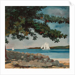 Nassau: Water and Sailboat, 1899 by Winslow Homer