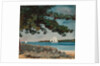 Nassau: Water and Sailboat, 1899 by Winslow Homer