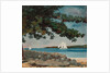 Nassau: Water and Sailboat, 1899 by Winslow Homer