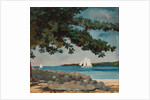 Nassau: Water and Sailboat, 1899 by Winslow Homer