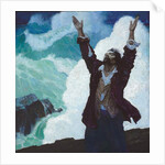 Robinson Crusoe: Cover, 1920 by Newell Convers Wyeth