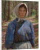 In the Bohmerwald by Lilla Cabot Perry