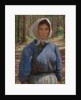 In the Bohmerwald by Lilla Cabot Perry
