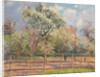 Pear Trees in Bloom, Eragny; Poiriers en fleur, Eragny, 1894 by Camille Pissarro