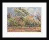 Pear Trees in Bloom, Eragny; Poiriers en fleur, Eragny, 1894 by Camille Pissarro