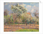 Pear Trees in Bloom, Eragny; Poiriers en fleur, Eragny, 1894 by Camille Pissarro