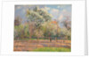 Pear Trees in Bloom, Eragny; Poiriers en fleur, Eragny, 1894 by Camille Pissarro