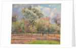 Pear Trees in Bloom, Eragny; Poiriers en fleur, Eragny, 1894 by Camille Pissarro