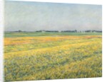 The Plain of Gennevilliers, Yellow Fields; La plaine de Gennevilliers, champs jaunes, 1884 by Gustave Caillebotte