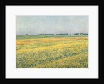 The Plain of Gennevilliers, Yellow Fields; La plaine de Gennevilliers, champs jaunes, 1884 by Gustave Caillebotte