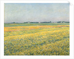 The Plain of Gennevilliers, Yellow Fields; La plaine de Gennevilliers, champs jaunes, 1884 by Gustave Caillebotte