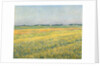 The Plain of Gennevilliers, Yellow Fields; La plaine de Gennevilliers, champs jaunes, 1884 by Gustave Caillebotte