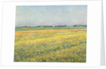 The Plain of Gennevilliers, Yellow Fields; La plaine de Gennevilliers, champs jaunes, 1884 by Gustave Caillebotte