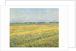 The Plain of Gennevilliers, Yellow Fields; La plaine de Gennevilliers, champs jaunes, 1884 by Gustave Caillebotte