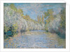 L'Yerres Near Montgeron; L'Yerres pres de Montgeron, 1876 by Claude Monet