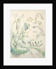 Wells and a Winding Path in the Chateau Noir Park; Puits et route tournante dans le parc de Chateau Noir, c.1900 by Paul Cezanne