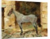 Tethered Horse; Cheval attache, c.1881 by Henri de Toulouse-Lautrec