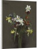 Spring Flowers; Fleurs de printemps, 1873 by Ignace Henri Jean Fantin-Latour