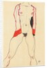 Female Torso by Egon Schiele