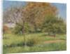 The Great Walnut Tree, Morning, Eragny by Camille Pissarro