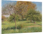 The Great Walnut Tree, Morning, Eragny by Camille Pissarro