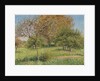 The Great Walnut Tree, Morning, Eragny by Camille Pissarro