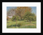 The Great Walnut Tree, Morning, Eragny by Camille Pissarro