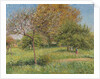 The Great Walnut Tree, Morning, Eragny by Camille Pissarro