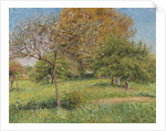 The Great Walnut Tree, Morning, Eragny by Camille Pissarro