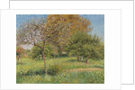 The Great Walnut Tree, Morning, Eragny by Camille Pissarro