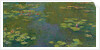 The Waterlily Pond; Le bassin aux nympheas, 1919 by Claude Monet