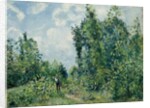 Edge of the Woods; Lisiere de bois, 1878 by Camille Pissarro