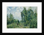 Edge of the Woods; Lisiere de bois, 1878 by Camille Pissarro
