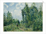 Edge of the Woods; Lisiere de bois, 1878 by Camille Pissarro