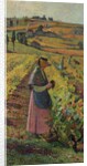 The Harvest; Les vendanges, c.1925 by Henri Jean Guillaume Martin