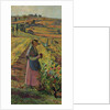 The Harvest; Les vendanges, c.1925 by Henri Jean Guillaume Martin
