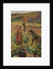 The Picking; La cueillette, c.1925 by Henri Jean Guillaume Martin