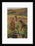 The Picking; La cueillette, c.1925 by Henri Jean Guillaume Martin