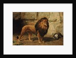 A Lion Guarding his Den, 1886 by George Goodwin Jnr Kilburne