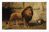 A Lion Guarding his Den, 1886 by George Goodwin Jnr Kilburne