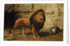 A Lion Guarding his Den, 1886 by George Goodwin Jnr Kilburne